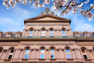 Baltimore MD - City Hall. Cherry blossoms spring time flowers.