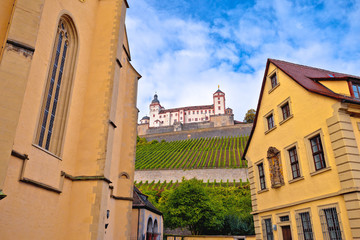 Obraz premium Wurzburg. Architecture and and scenic Wurzburg castle and vineyards in Wurzburg view