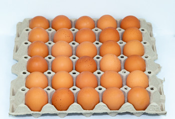 Fresh eggs on the tray isolated on white background