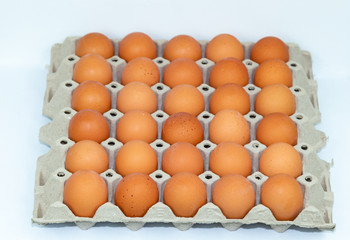 Fresh eggs on the tray isolated on white background