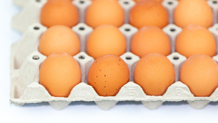 Fresh eggs on the tray isolated on white background