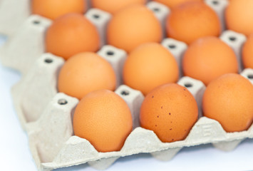 Fresh eggs on the tray isolated on white background