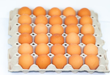 Fresh eggs on the tray isolated on white background