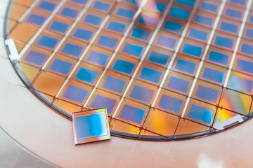 Silicon wafer with microchips fixed in a holder with a steel frame after the dicing process and...
