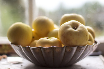 Harvest in the village. Yellow ripened apples in a metal vase. Close up. Material for the site about the village, gardening, fruit, summer.