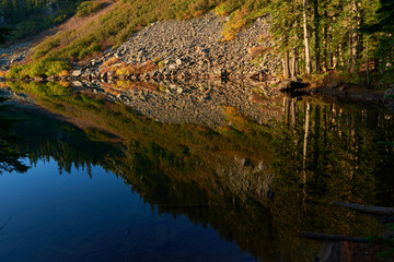 Reflection in the water on Sunny morning at the Blue Lake. Indian Heaven Wilderness in Washington state in the USA.