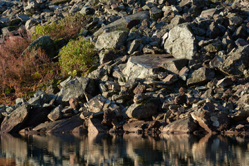 Sunny morning at the Blue Lake. Indian Heaven wilderness in Washington state in the USA.