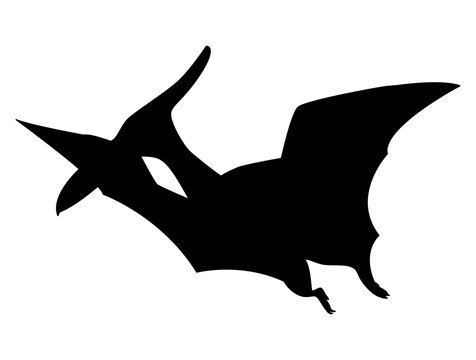 Pteroductylus dinosaur silhouette isolated on white background.