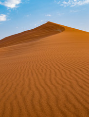 Fototapeta na wymiar Dune 45 in the Namibian Desert