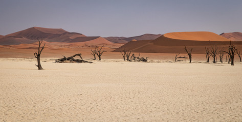 Fototapeta na wymiar Sossusvlei Desert in Namibia