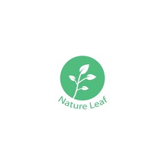 Nature leaf vector template icon design
