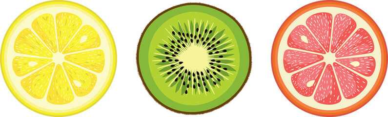 Set of kiwi and citrus round slices - obrazy, fototapety, plakaty