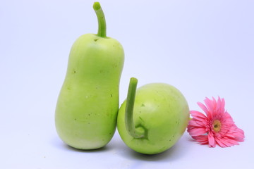 Single gourd on a colored background
