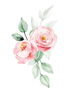 Flowers watercolor painting, pink rose bouquet for greeting card, invitation, poster, wedding decoration and other printing images. Illustration isolated on white.