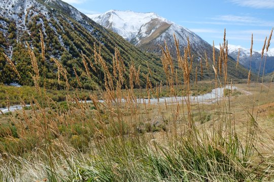 Mountain landscape with autumn yellow grass in foreground and Khaldechala river and Maphkrani Mountain Range in background. During trekking to Khalde glacier. Greater Caucasus, Svaneti, Georgia