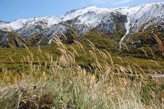 Mountain landscape with autumn yellow grass in foreground and Khaldechala river and Maphkrani Mountain Range in background. During trekking to Khalde glacier. Greater Caucasus, Svaneti, Georgia