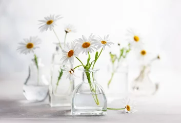 Deurstickers Beautiful daisy flowers in glass vases on light background. Floral composition in home interior. © Svetlana Kolpakova