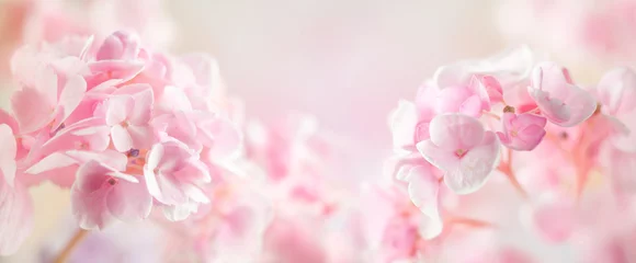 Gardinen Frühlings- oder Sommerblumenkomposition aus frischen Hortensienblüten auf hellem Pastellhintergrund. Festliches Blumenkonzept mit Kopienraum. Weichzeichner, Makrofotografie. © Svetlana Kolpakova
