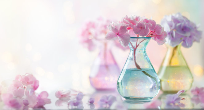 Bouquets of beautiful hydrangea in colorful glass vases over bokeh background. Home interior decor.