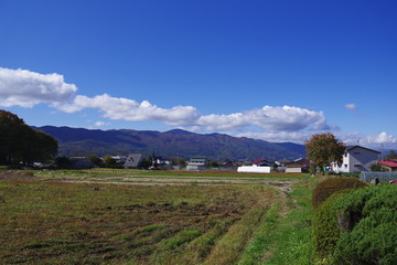 Obraz premium もみじ寺