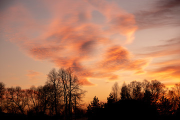 A black silhouette of bare trees against a bright multicolored sunset sky.