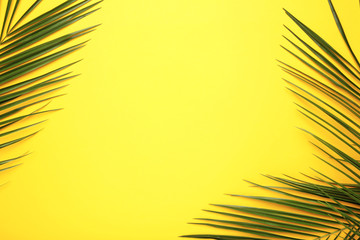 Fototapeta na wymiar Green leaves of palm tree on yellow background, top view