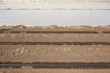 agricultural land with a drip irrigation system, prepared for spring planting of crops, low greenhouses in the background