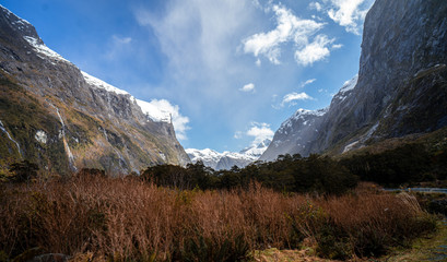 Beautiful panorama of a forest with the snow capped mountains of Milford Sound in the background taken on the SH94 road towards Milford Sound on a sunny winter day, New Zealand