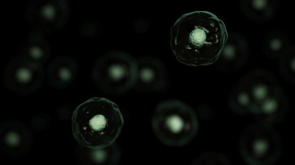 3d rendering of Cell biology deals with the smallest unit of life. The proliferation of cells. Cell division in black background.