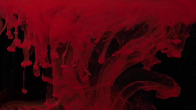 Colorful red ink mixing in water, swirling softly underwater on black background with copy space. Colored acrylic cloud of paint. Abstract smoke explosion animation. Slowmotion, timelapse. 4K footage