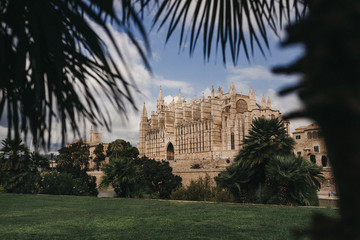 Fototapeta na wymiar cathedral of palma de mallorca with palms and green grass in foreground