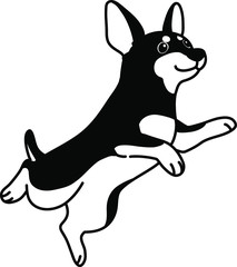 Monochromatic Miniature Pinscher jumping view with transparency