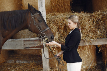 Woman standing near horse. Rider in a black uniform. Girl feeds horse hay
