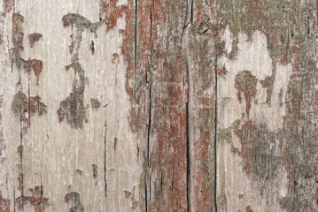 old wooden board background texture