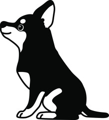 Monochromatic Miniature Pinscher sitting side view with transparency