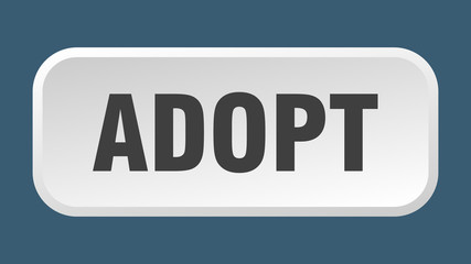 adopt button. adopt square 3d push button