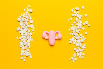 Female uterus with pills on yellow background. Gynecological examination, infertility treatment. Reproductive system diseases.