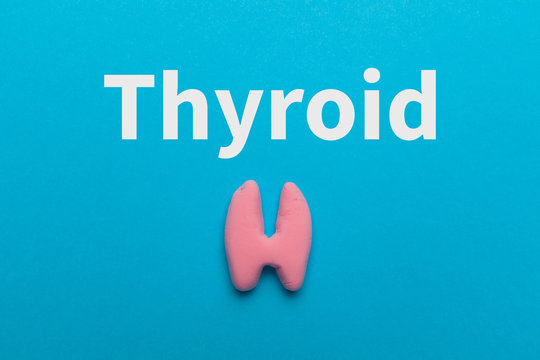 Thyroid gland with pills on blue background. Prevention and treatment, diagnosis of disease.