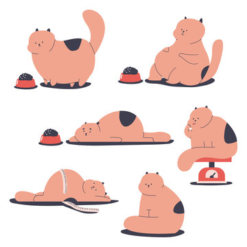 Fat and obesity cats vector cartoon characters set isolated on a white background.