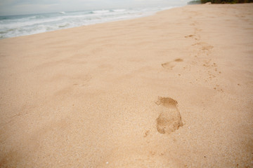 Fototapeta na wymiar Footprints in the sand on the beach of Sri Lanka on the Indian Ocean