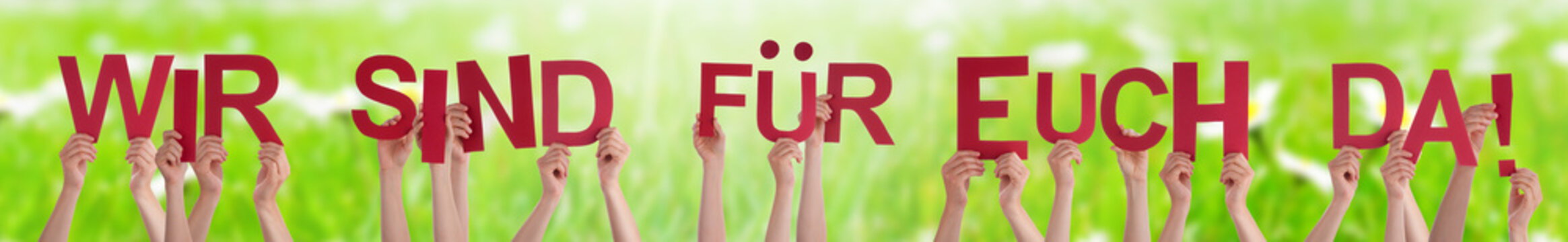 รูปภาพFuer – เลือกดูภาพถ่ายสต็อก เวกเตอร์ และวิดีโอ731 | Adobe Stock