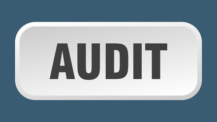 audit button. audit square 3d push button