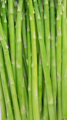 Fresh green asparagus isolated on white, With clipping path.