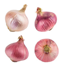 Fototapeta premium Red and yellow onions isolated on white. With clipping path. Collection.