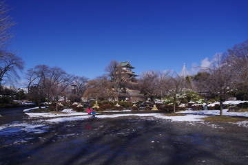 高島城