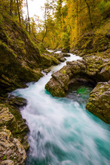 The river Radovna flow between the cliffs