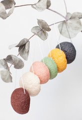 natural sponge konjac for face and body care, cleansing sponge hanging on a sprig of eucalyptus, different colors