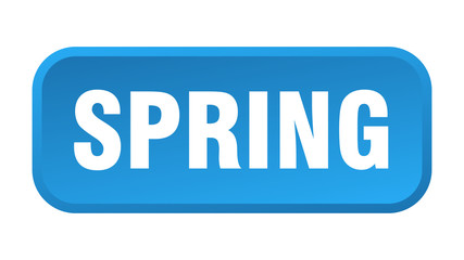 spring button. spring square 3d push button