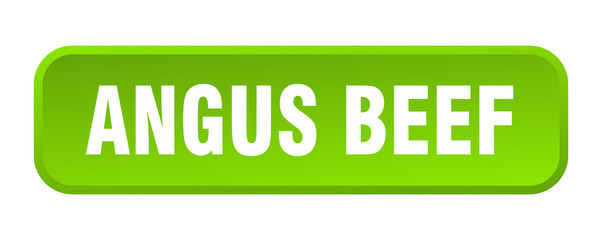 angus beef button. angus beef square 3d push button