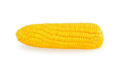 sweet corn isolated on white background with clipping path 